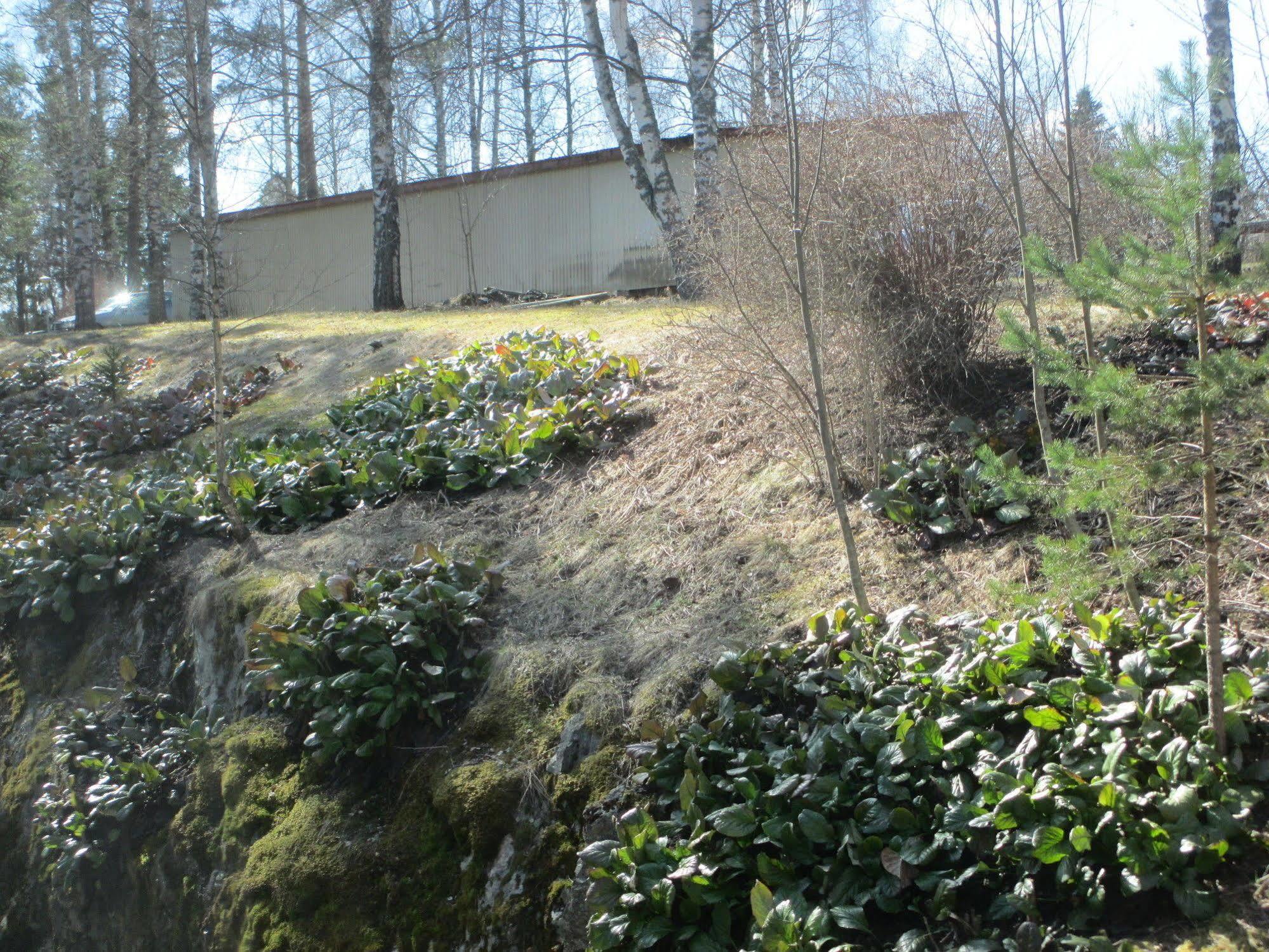 Huoneistohotelli Tarjanne Virrat Exterior foto